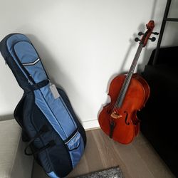Cello, Bag, And Acceptors