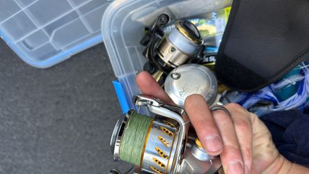 Shimano 5000sw and avet reels