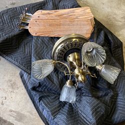 Ceiling Fan With Lights