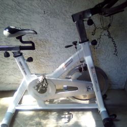 Exercise Bike Sunlight FS (Needs Love)