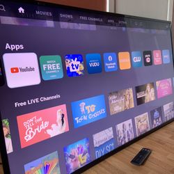 Vizio (55 inch) SMART TV
