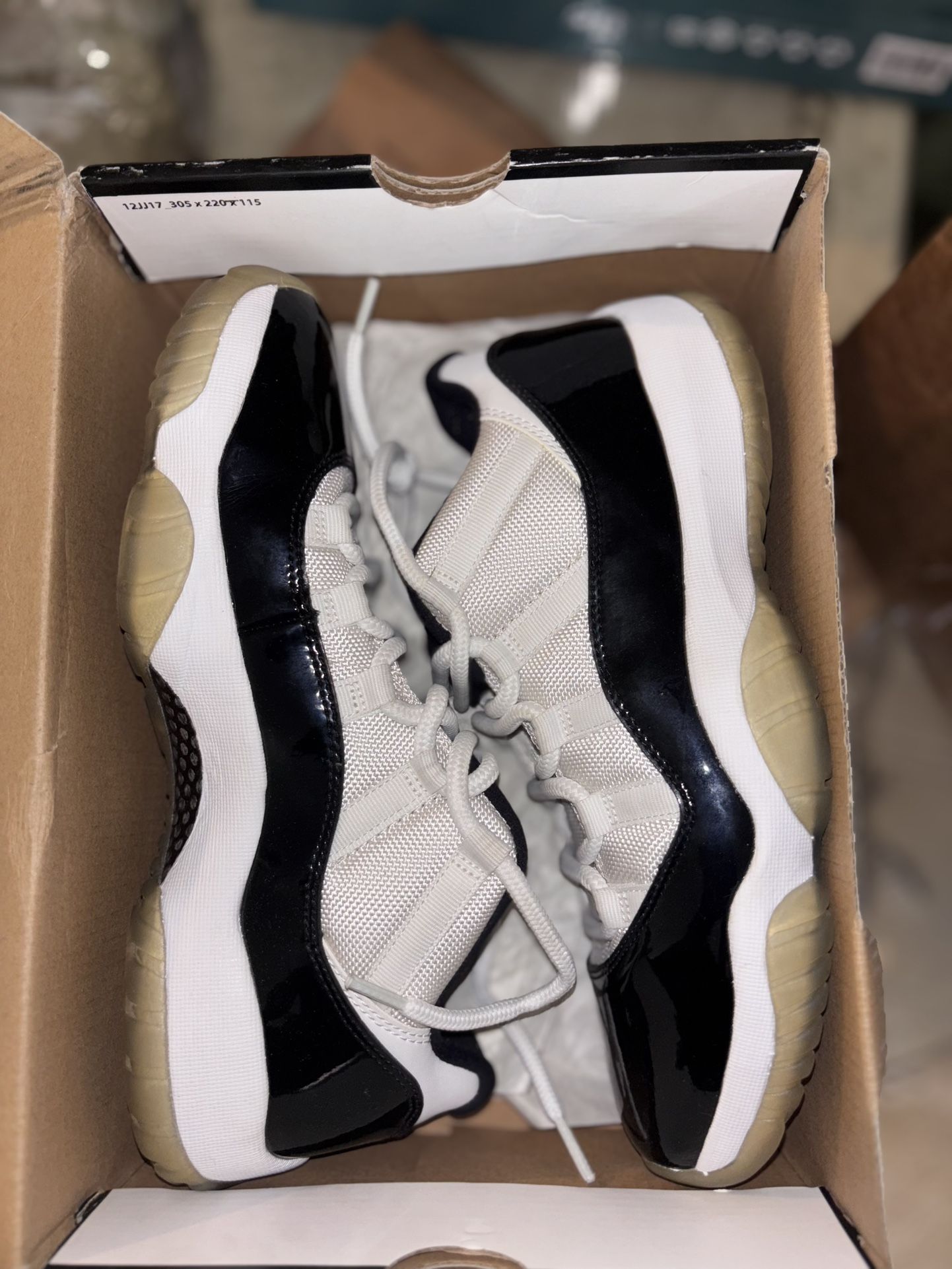 2013 Concord Jordan 11 Low 