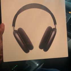 Air Pod max
