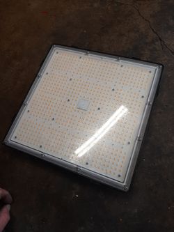 Grow light