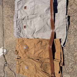 Carhartt Shorts