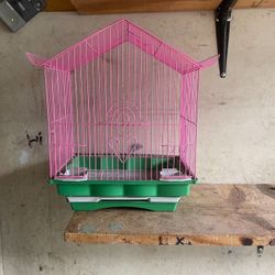 Bird Cage 