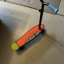 Skate And Scoot Training Skateboard 