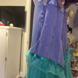 Little Mermaid Costume