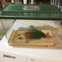 Hermit Crab Cage/tank