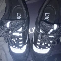 Reflective Dior B22 Shoes 