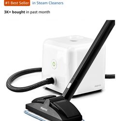 Steam Cleaner