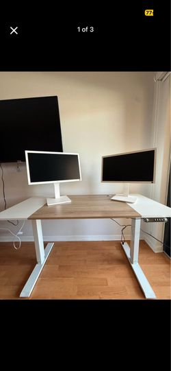 Anysun 55" Electric Standing Desk — White/Oak, Adjustable Sit-Stand