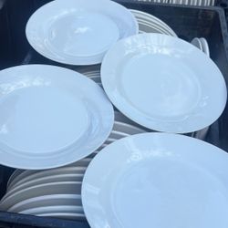 Plato's for events 150 large and 150 desserts in good condition 2 for nothing one or 500 for all or a better offer