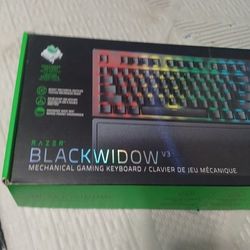 Razer Blackwidow V3