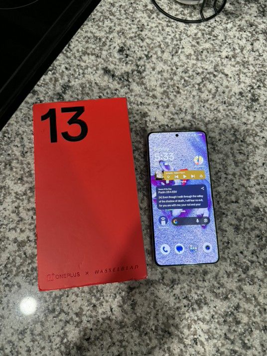 OnePlus 13