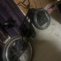 Haro