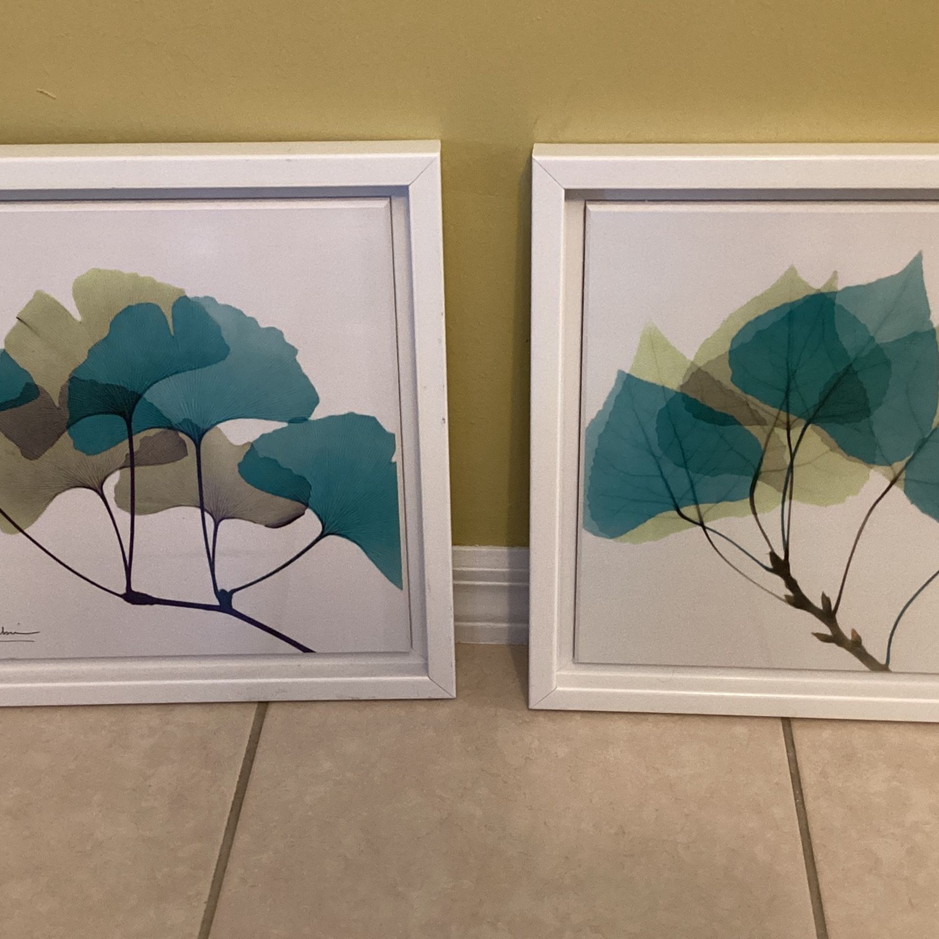 Both Pictures 15 x15