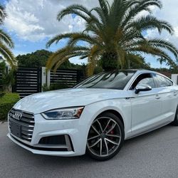 2019 Audi S5 Sportback Premium Plus 