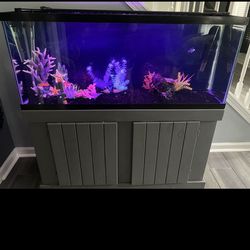 Fish Tank For Sale!!!