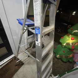 Werner 6ft Ladder 
