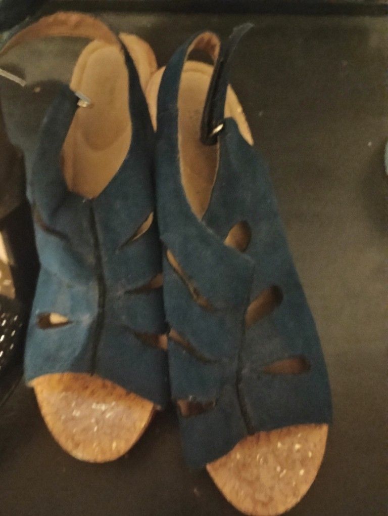Blue Heel Shoes