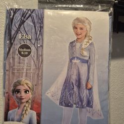 FROZEN (ELSA) Costume