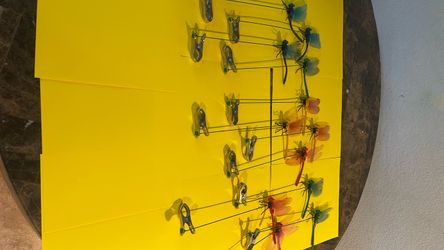 Decorative Dragonfly Wall Art with Clips