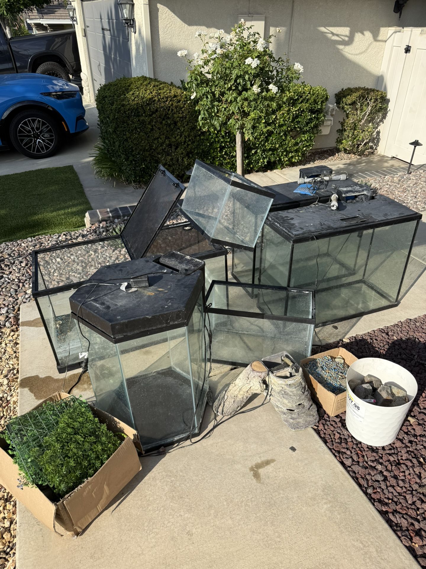 Fully Functioning Aquariums of different sizes and Terrarium. Filters & Heaters included + extras
