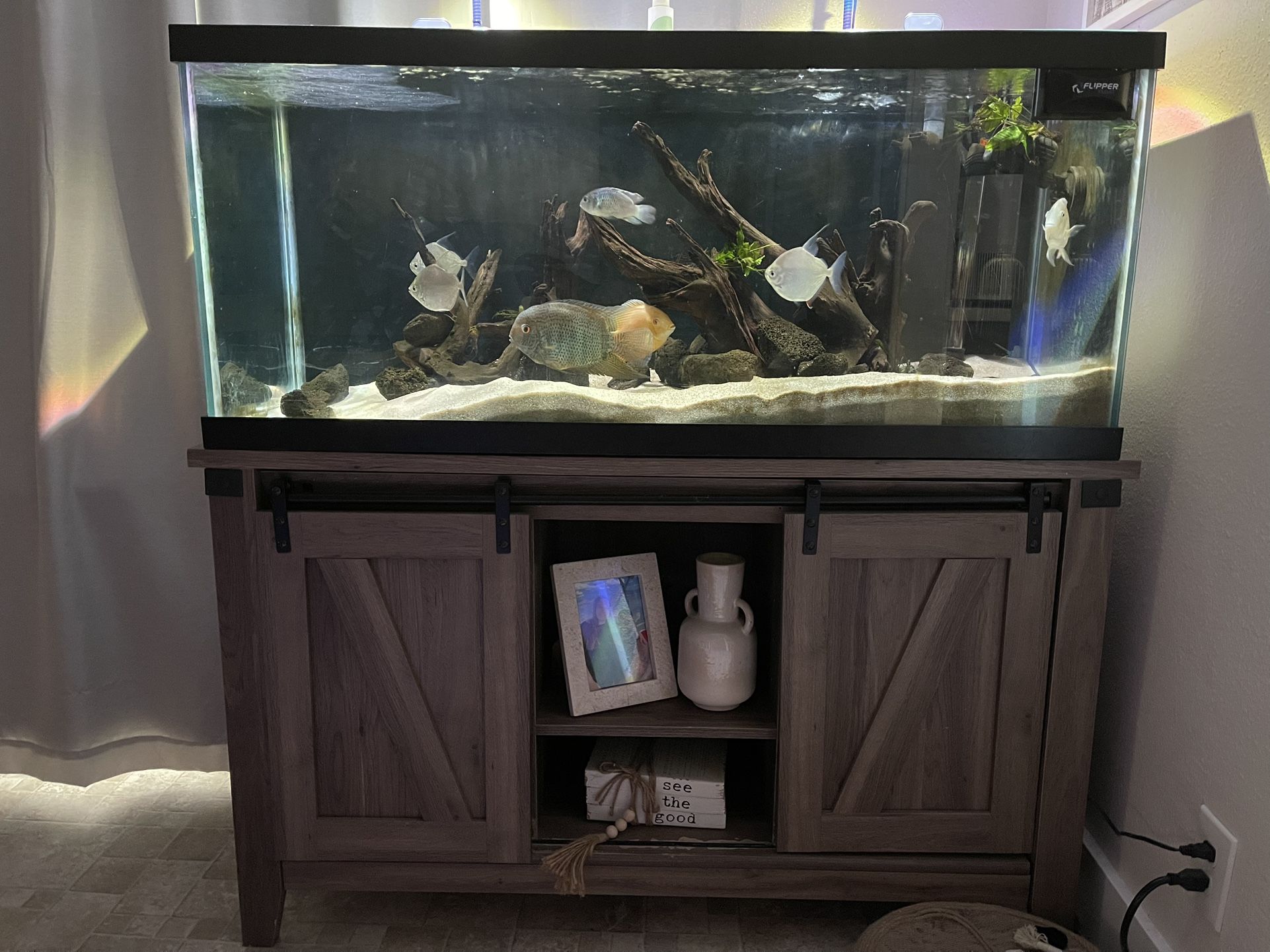 75 Gallon Aquarium