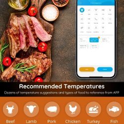 Meat Thermometer 