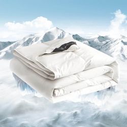 Queen Size Lightweight Feathers Down Duvet Insert Comforter