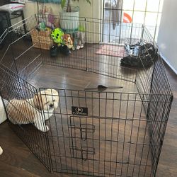 Used Once Dog Play Pen/ Asking $20.00