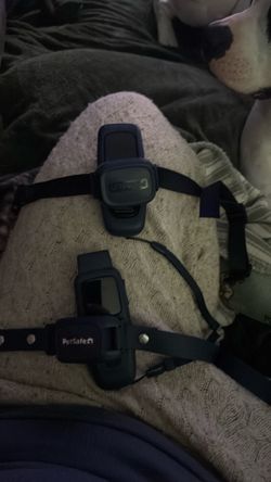 DogSafe Pet Collar (2)