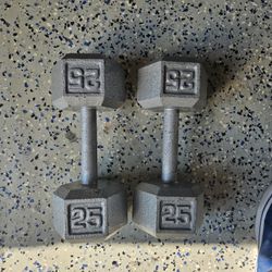 25LB  DUMBBELLS 