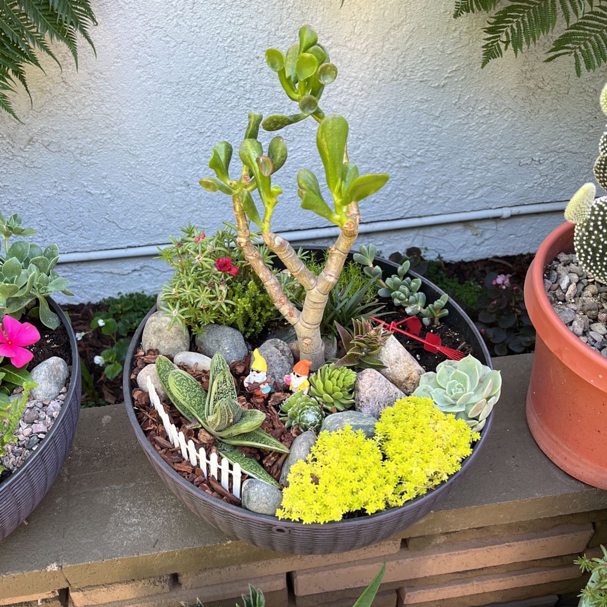 Potted Plants/Mini Gardens, Various Sizes