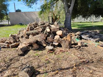 Olive Wood For Pizza Ovens Or Just For Fires