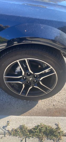 Mustang Stock Wheels