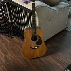 Acoustic Guitar