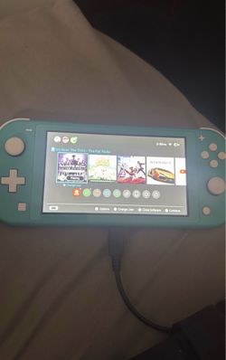 Switch lite