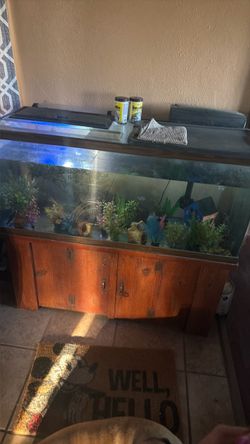 Fish Tank