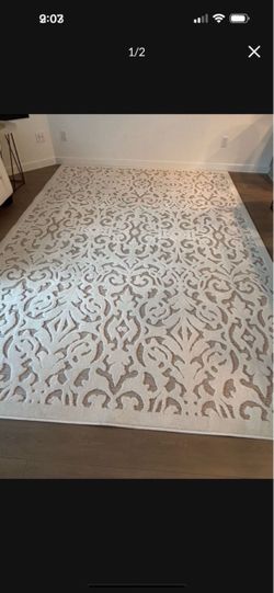 Beautiful 8x10 Area Rug