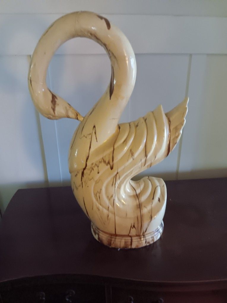 Swan