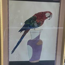 Large Framed Scarlet Macaw Print – Signed & Numbered Jonna White Limited Edition