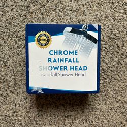 Chrome Rainfall Shower Head