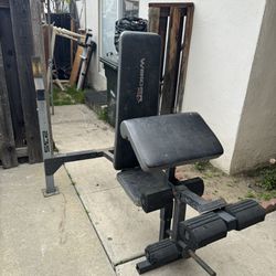Olympic Weight. Bench 