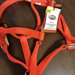 Horse Halter