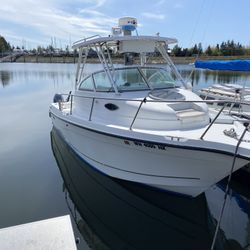 21’ Sea Swirl Walk Around 