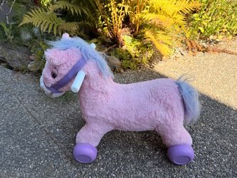 Ride on pony,
