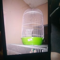 Hanging Bird Cage Only Used A Few Times 