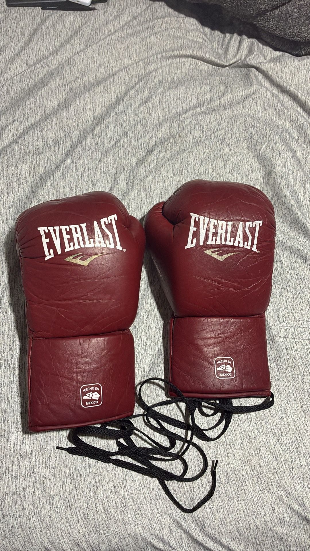Everlast boxing gloves